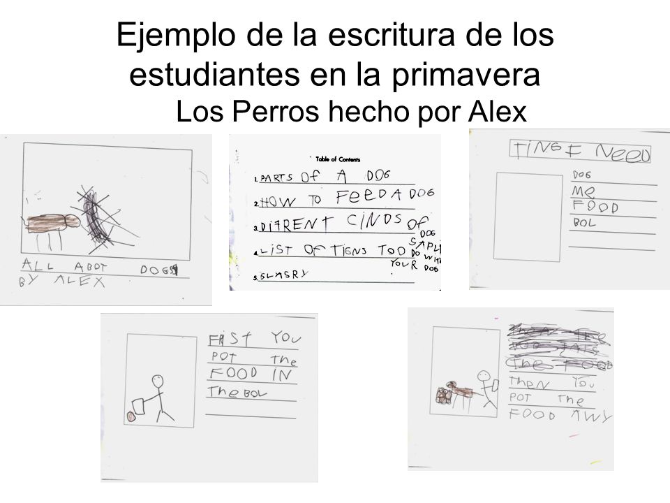 Ejemplo de la escritura de los estudiantes en la primavera