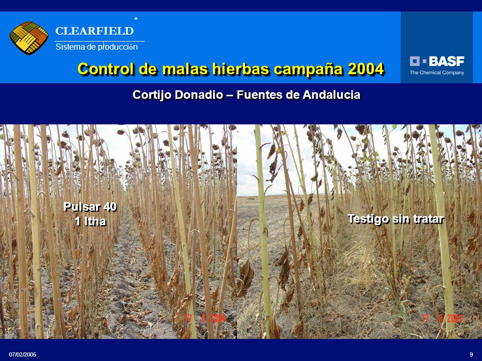Cortijo Donadio – Fuentes de Andalucia