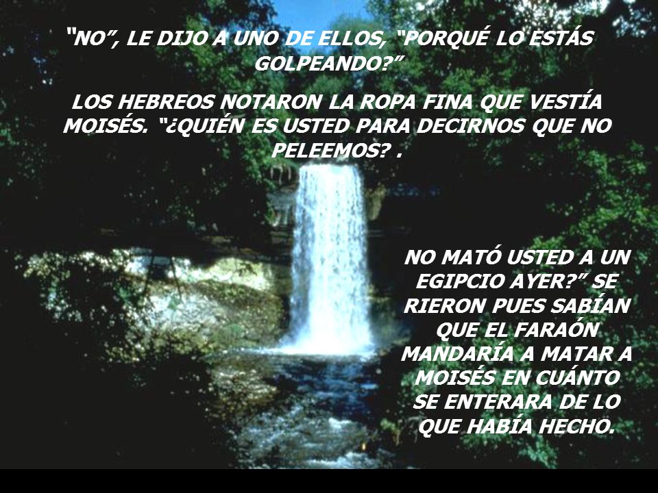 NO , LE DIJO A UNO DE ELLOS, PORQUÉ LO ESTÁS GOLPEANDO