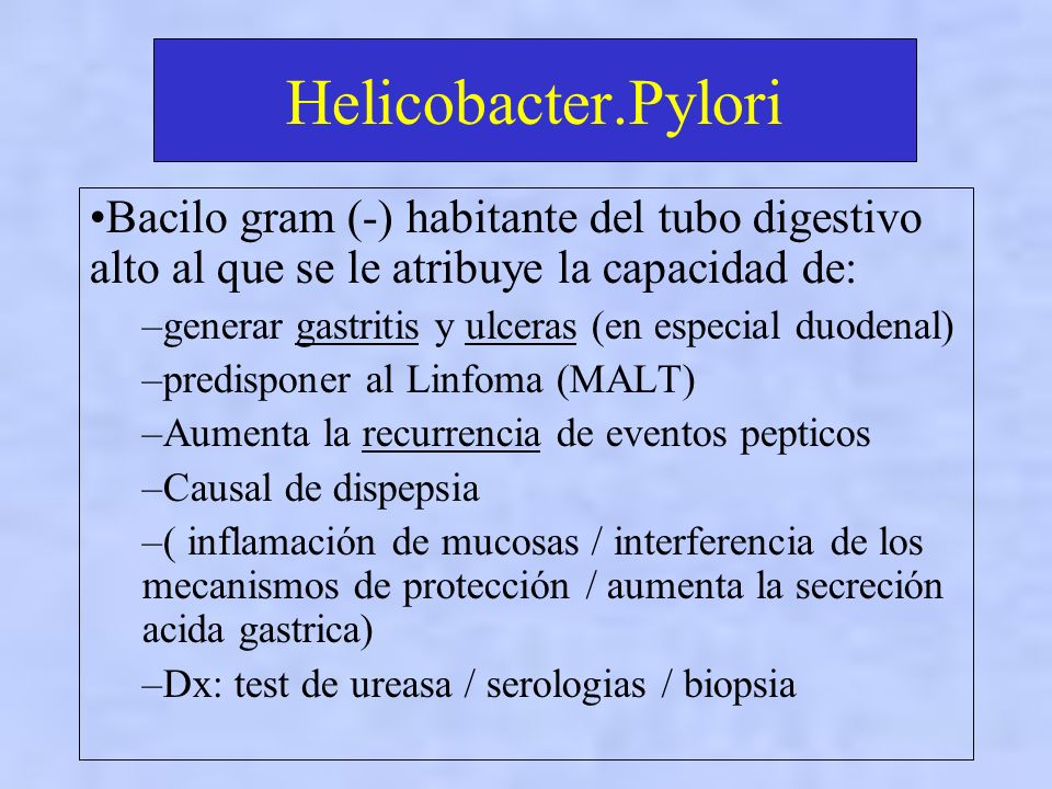 Helicobacter.Pylori Bacilo gram (-) habitante del tubo digestivo alto al que se le atribuye la capacidad de:
