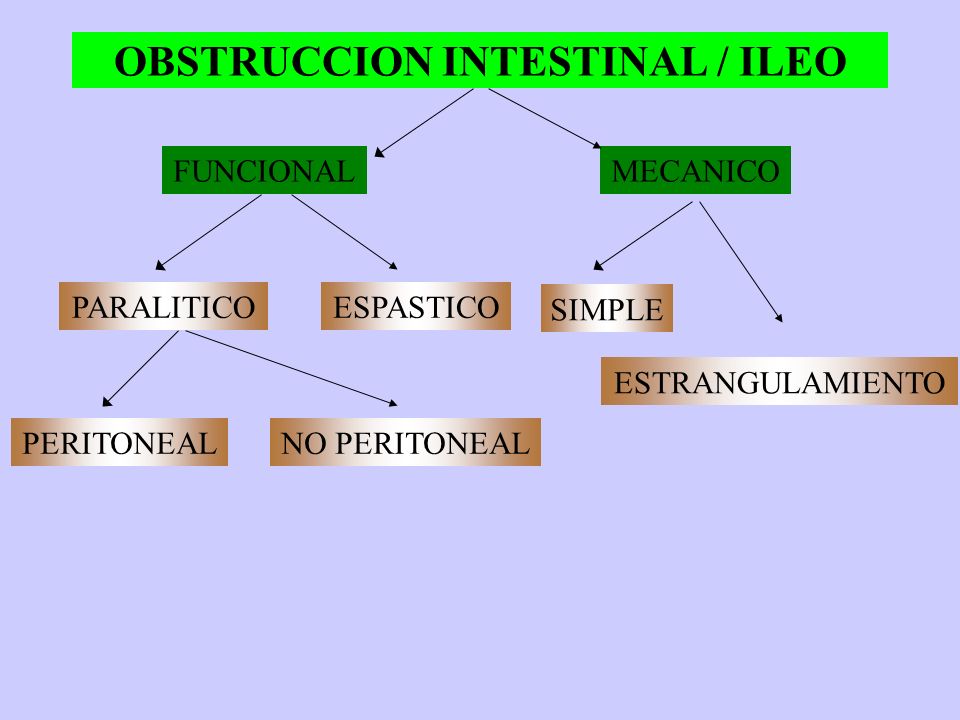 OBSTRUCCION INTESTINAL / ILEO