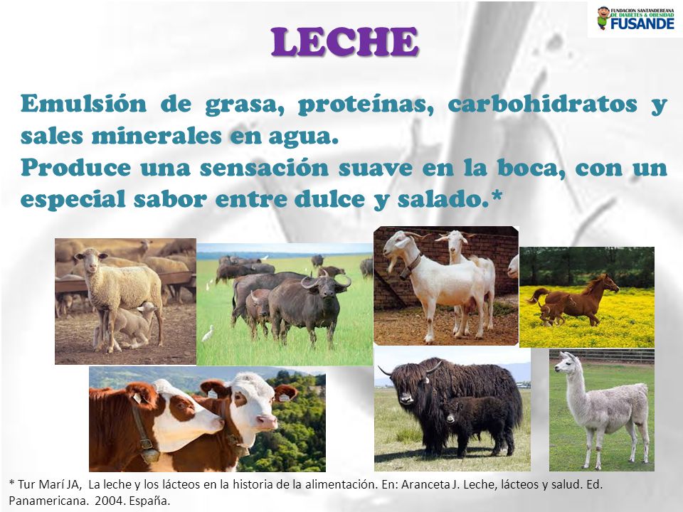 LECHE Emulsión de grasa, proteínas, carbohidratos y sales minerales en agua.