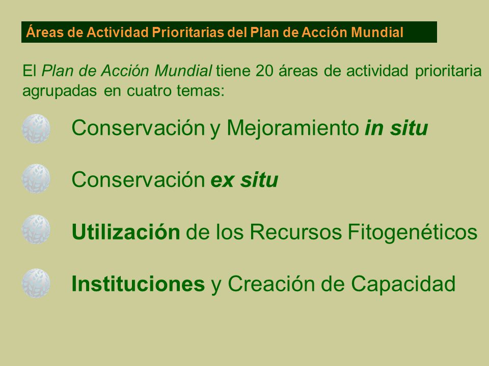 Conservación y Mejoramiento in situ Conservación ex situ