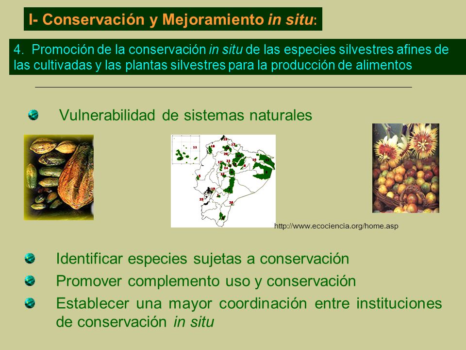 I- Conservación y Mejoramiento in situ: