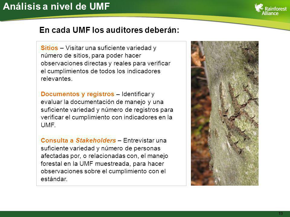 Análisis a nivel de UMF En cada UMF los auditores deberán: