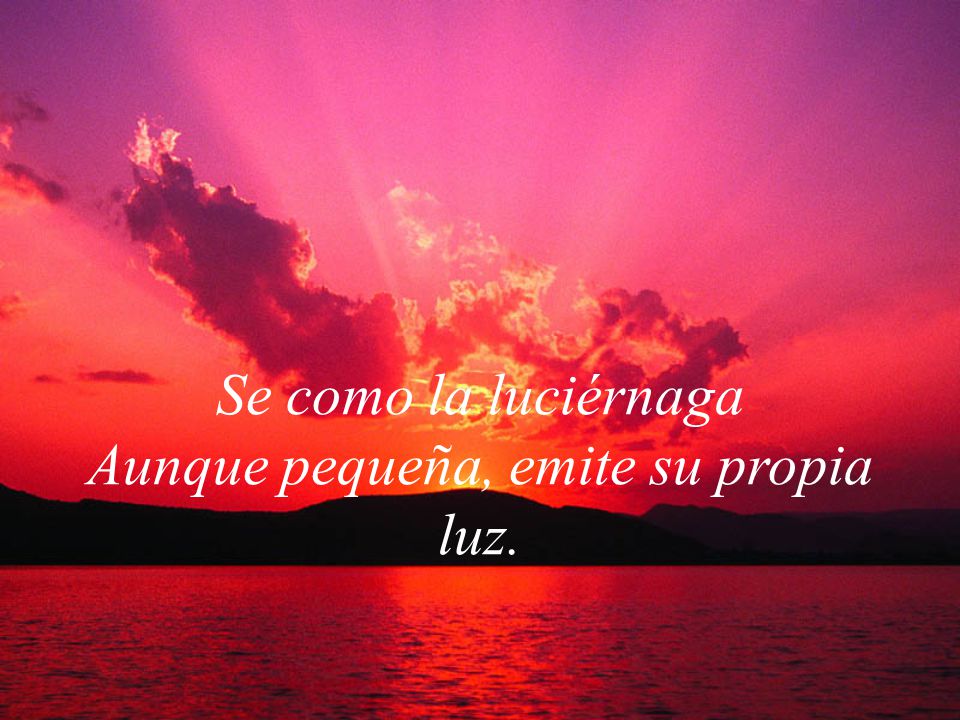 Se como la luciérnaga Aunque pequeña, emite su propia luz.