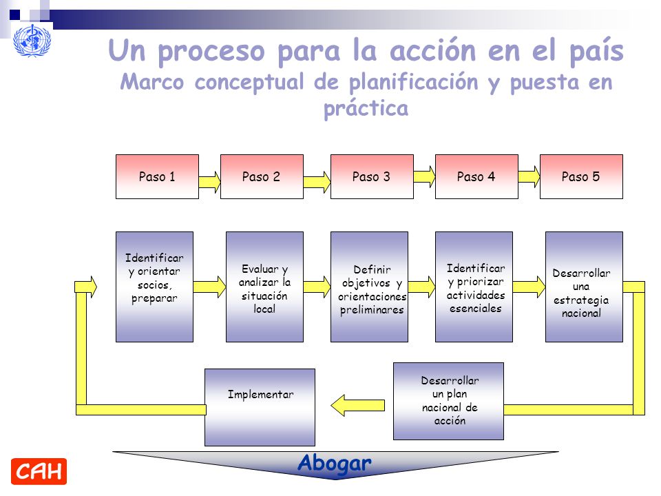 Un proceso para la acción en el país Marco conceptual de planificación y puesta en práctica