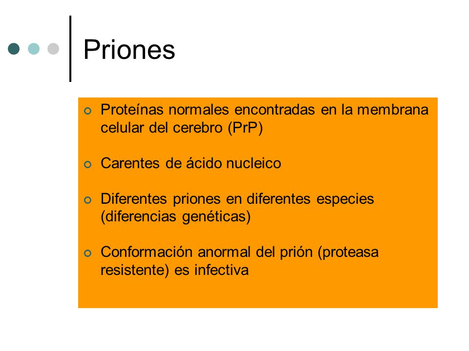 Priones Proteínas normales encontradas en la membrana celular del cerebro (PrP) Carentes de ácido nucleico.