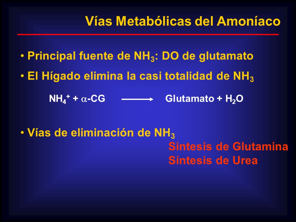 Vías Metabólicas del Amoníaco