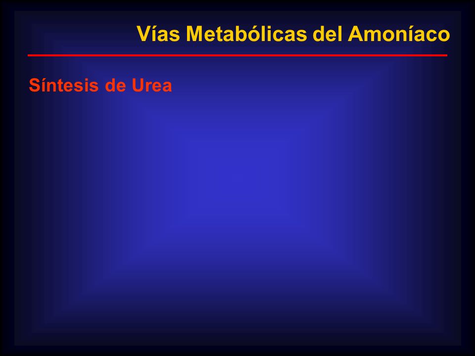 Vías Metabólicas del Amoníaco
