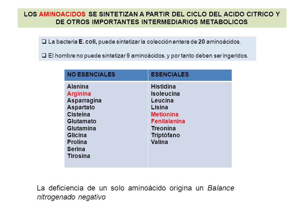 LOS AMINOACIDOS SE SINTETIZAN A PARTIR DEL CICLO DEL ACIDO CITRICO Y DE OTROS IMPORTANTES INTERMEDIARIOS METABOLICOS