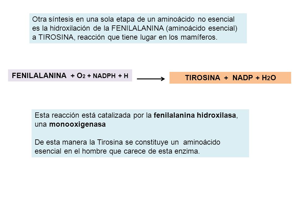FENILALANINA + O2 + NADPH + H