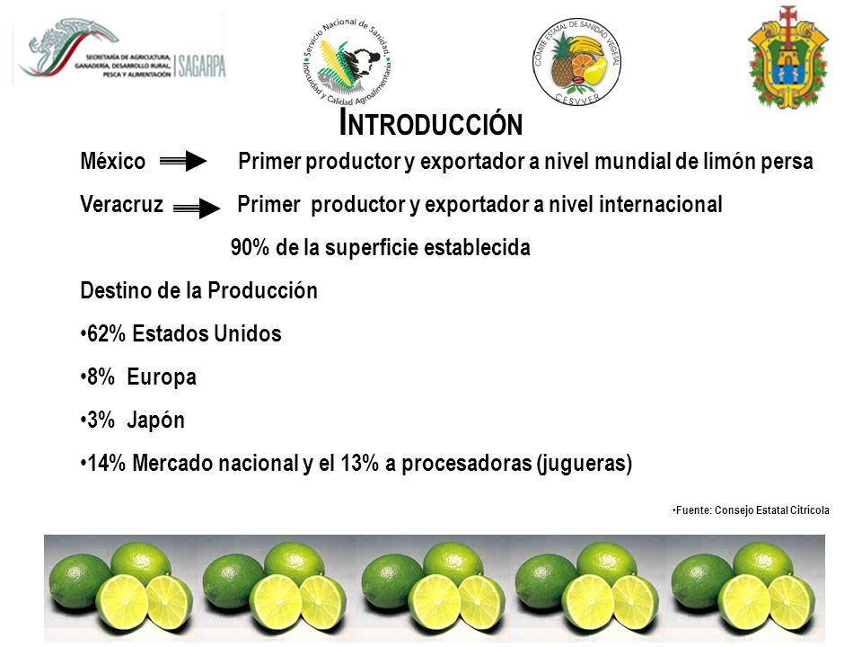 INTRODUCCIÓN México Primer productor y exportador a nivel mundial de limón persa.