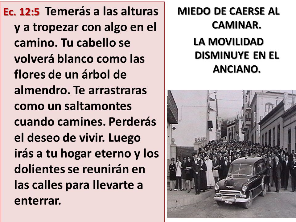 MIEDO DE CAERSE AL CAMINAR. LA MOVILIDAD DISMINUYE EN EL ANCIANO.