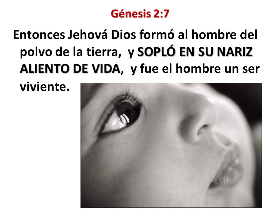 Génesis 2:7 Entonces Jehová Dios formó al hombre del polvo de la tierra, y SOPLÓ EN SU NARIZ ALIENTO DE VIDA, y fue el hombre un ser viviente.