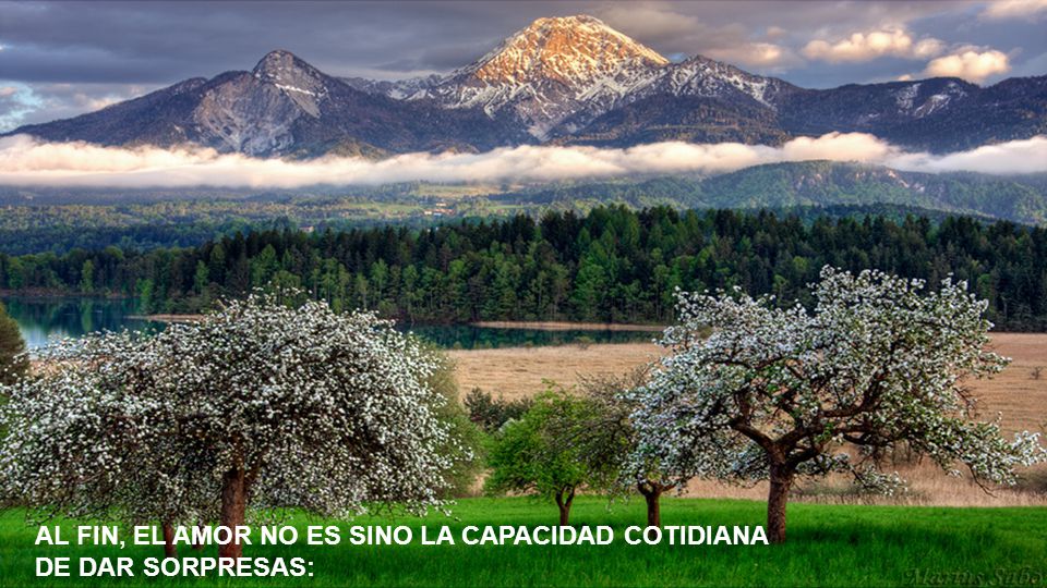 AL FIN, EL AMOR NO ES SINO LA CAPACIDAD COTIDIANA
