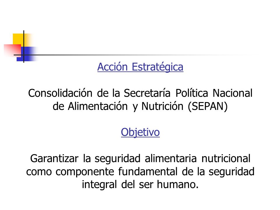 Acción Estratégica Consolidación de la Secretaría Política Nacional de Alimentación y Nutrición (SEPAN) Objetivo Garantizar la seguridad alimentaria nutricional como componente fundamental de la seguridad integral del ser humano.