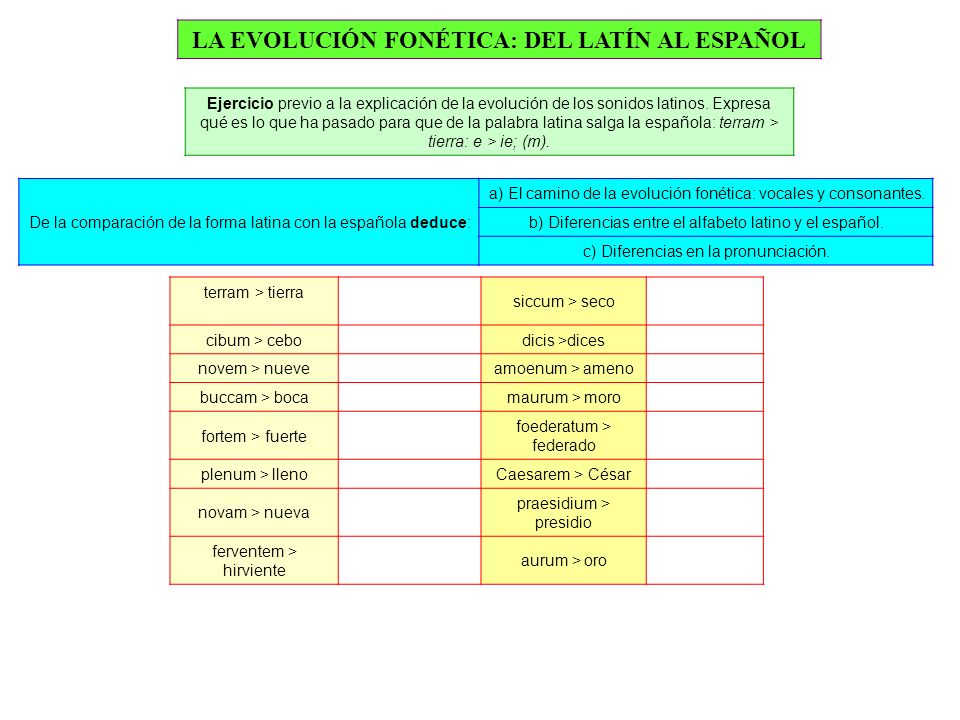 LA EVOLUCIÓN FONÉTICA: DEL LATÍN AL ESPAÑOL