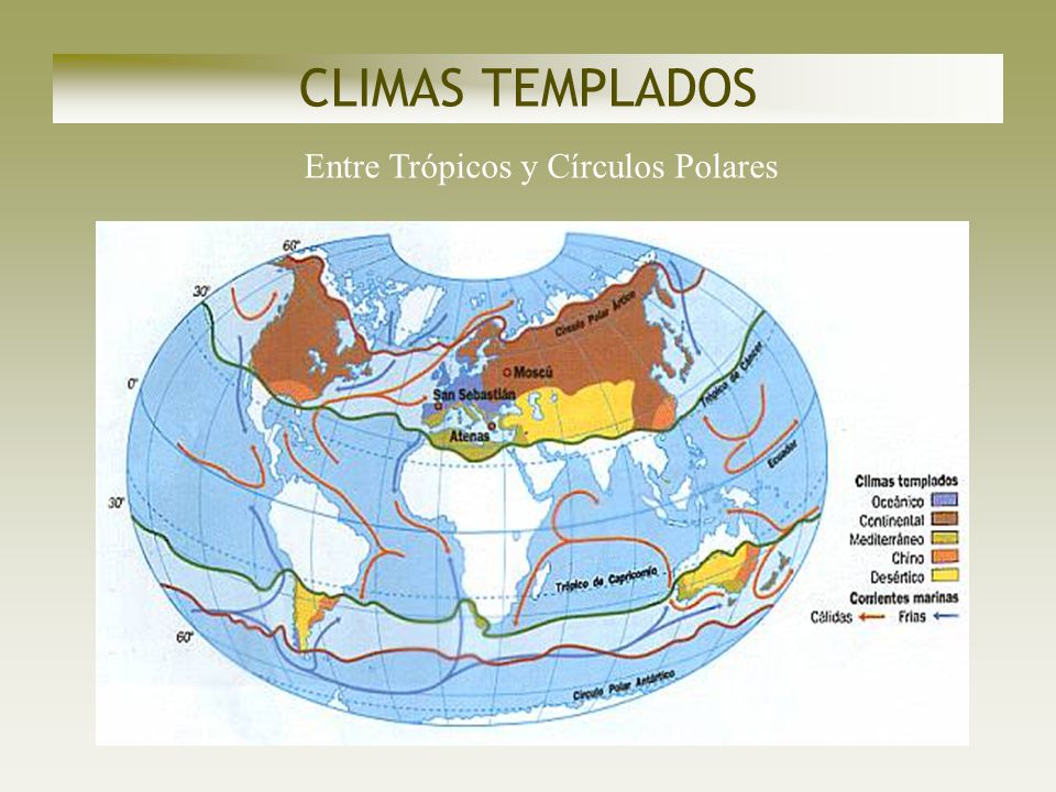 Entre Trópicos y Círculos Polares