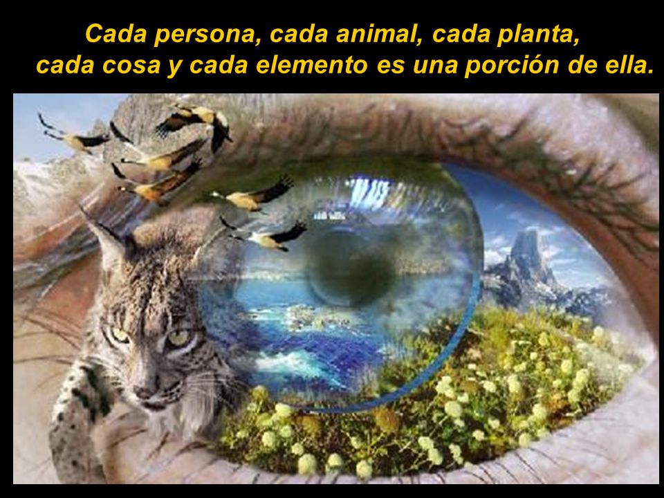 Cada persona, cada animal, cada planta, cada cosa y cada elemento es una porción de ella.