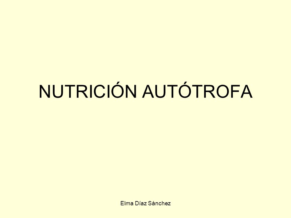 NUTRICIÓN AUTÓTROFA Elma Díaz Sánchez