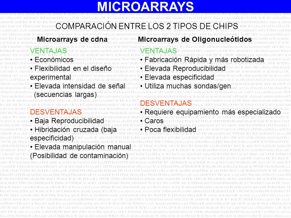 COMPARACIÓN ENTRE LOS 2 TIPOS DE CHIPS