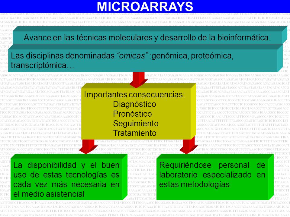 Avance en las técnicas moleculares y desarrollo de la bioinformática.
