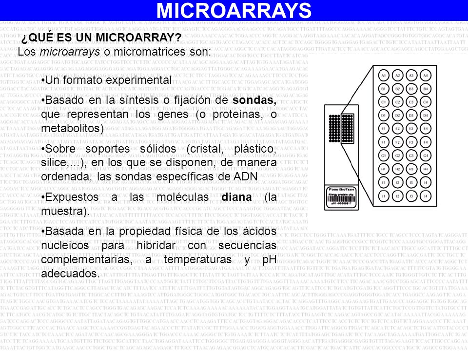 ¿QUÉ ES UN MICROARRAY Los microarrays o micromatrices son: Un formato experimental.