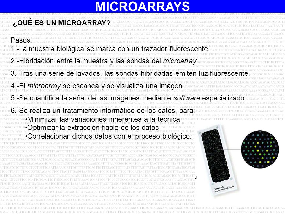 ¿QUÉ ES UN MICROARRAY Pasos: 1.-La muestra biológica se marca con un trazador fluorescente.