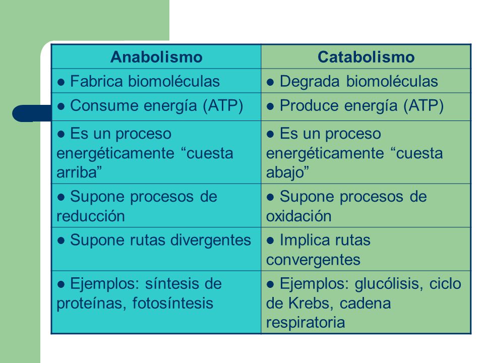 Anabolismo Catabolismo. Fabrica biomoléculas. Degrada biomoléculas. Consume energía (ATP) Produce energía (ATP)