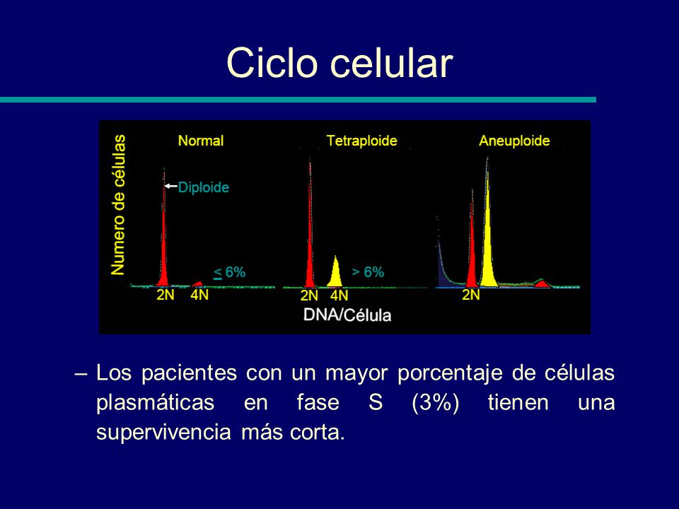 Ciclo celular Los pacientes con un mayor porcentaje de células plasmáticas en fase S (3%) tienen una supervivencia más corta.