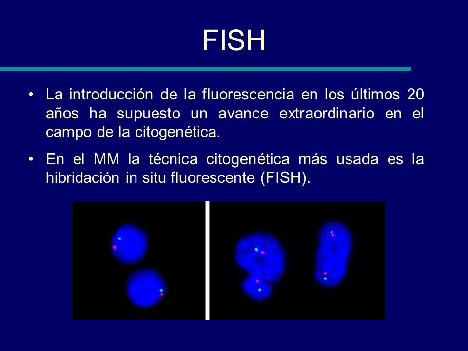 FISH La introducción de la fluorescencia en los últimos 20 años ha supuesto un avance extraordinario en el campo de la citogenética.