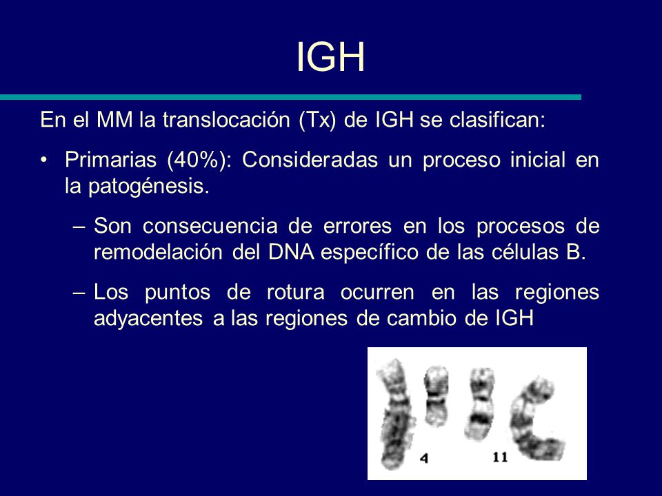IGH En el MM la translocación (Tx) de IGH se clasifican: