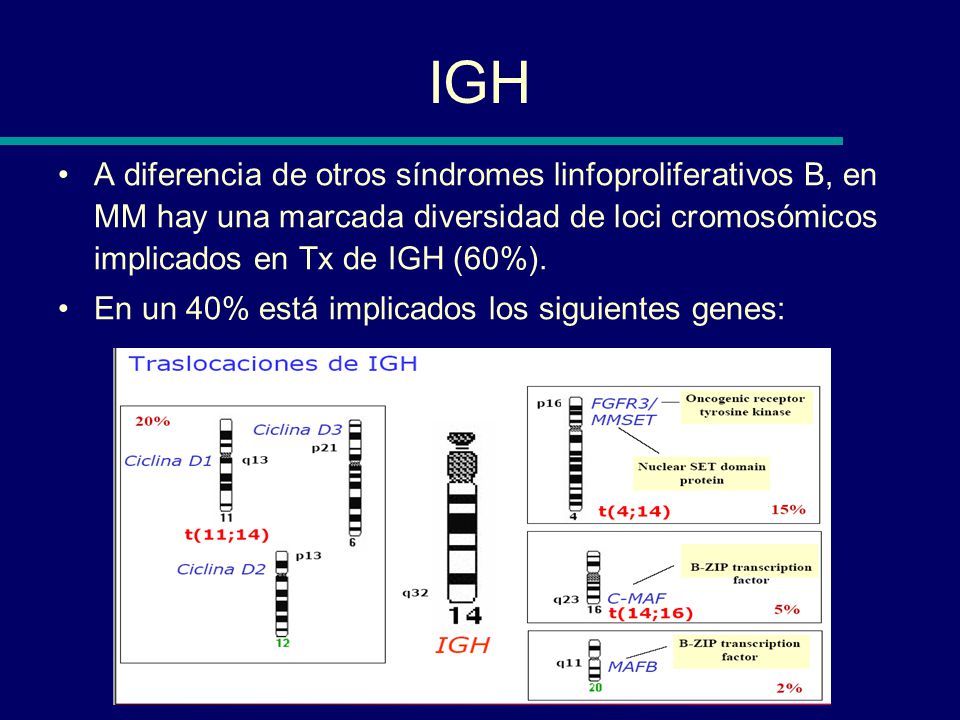 IGH A diferencia de otros síndromes linfoproliferativos B, en MM hay una marcada diversidad de loci cromosómicos implicados en Tx de IGH (60%).