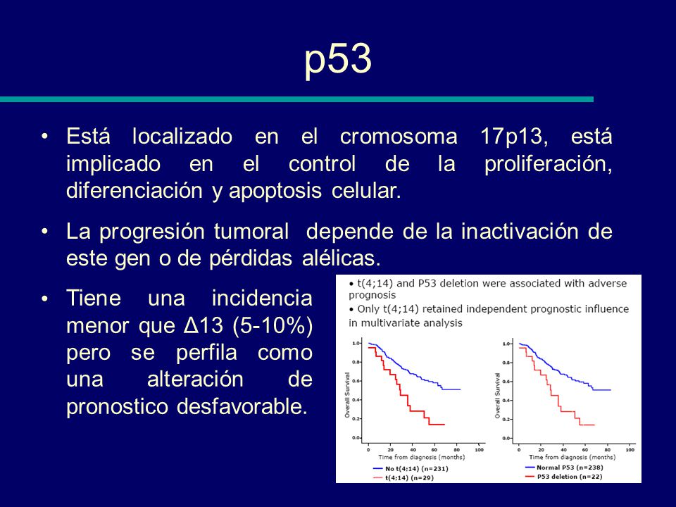 p53 Está localizado en el cromosoma 17p13, está implicado en el control de la proliferación, diferenciación y apoptosis celular.