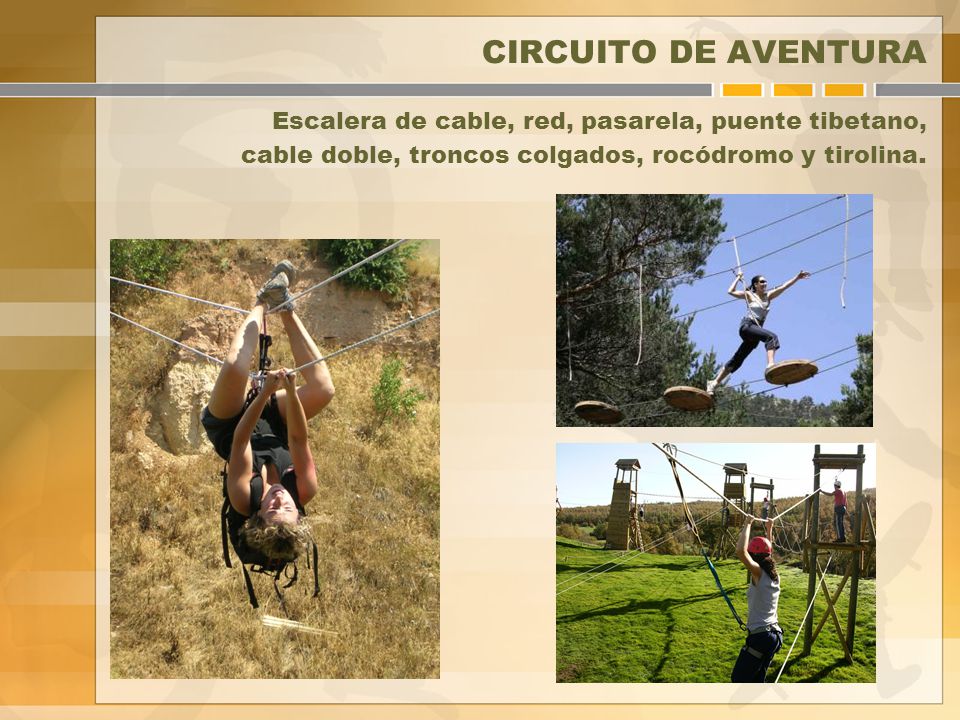 CIRCUITO DE AVENTURA Escalera de cable, red, pasarela, puente tibetano, cable doble, troncos colgados, rocódromo y tirolina.