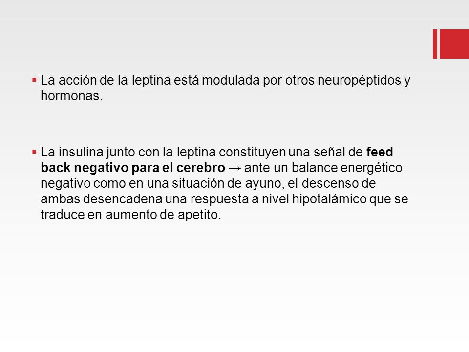 La acción de la leptina está modulada por otros neuropéptidos y hormonas.