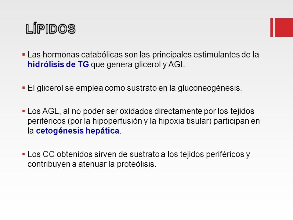 LÍPIDOS Las hormonas catabólicas son las principales estimulantes de la hidrólisis de TG que genera glicerol y AGL.