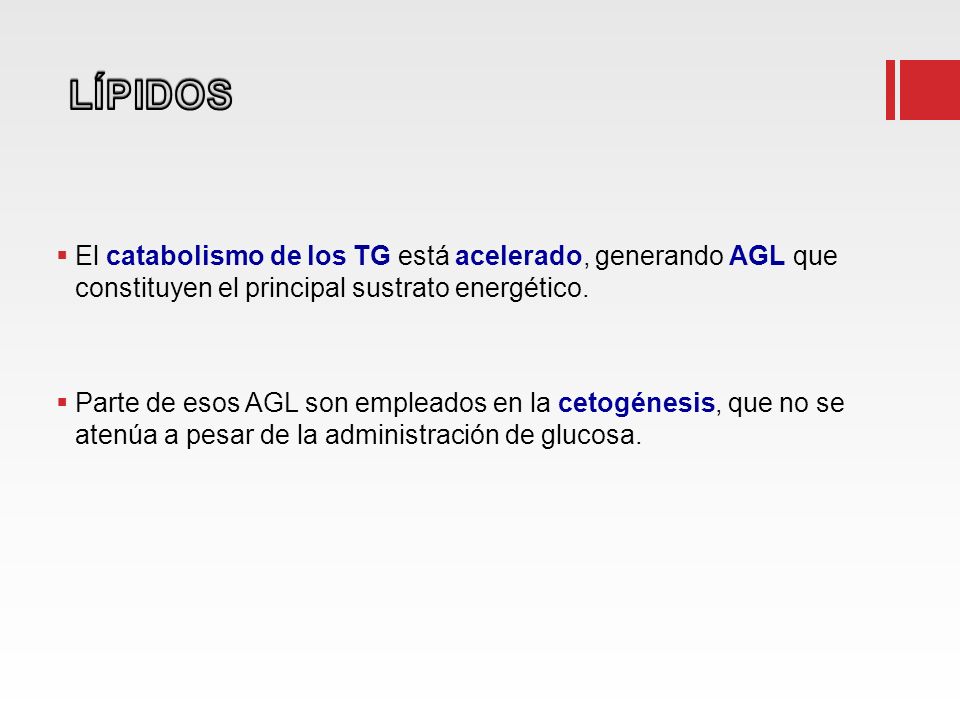 LÍPIDOS El catabolismo de los TG está acelerado, generando AGL que constituyen el principal sustrato energético.