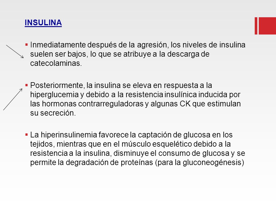 INSULINA Inmediatamente después de la agresión, los niveles de insulina suelen ser bajos, lo que se atribuye a la descarga de catecolaminas.
