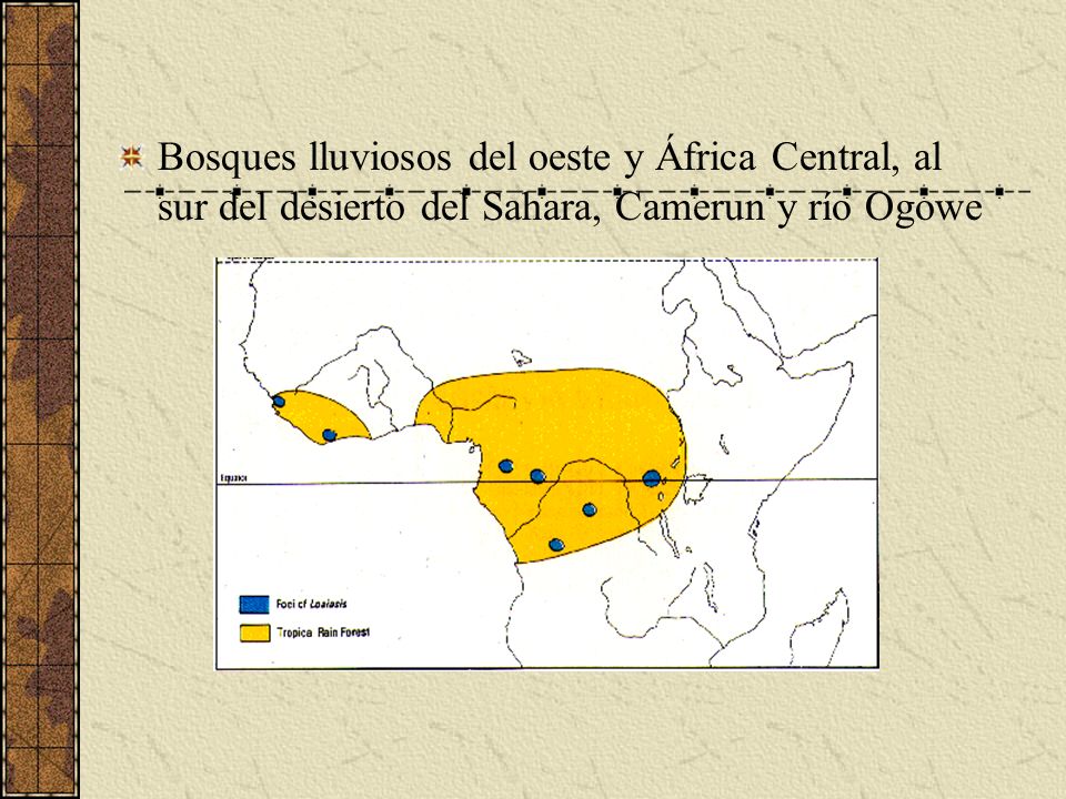 Bosques lluviosos del oeste y África Central, al sur del desierto del Sahara, Camerun y río Ogowe