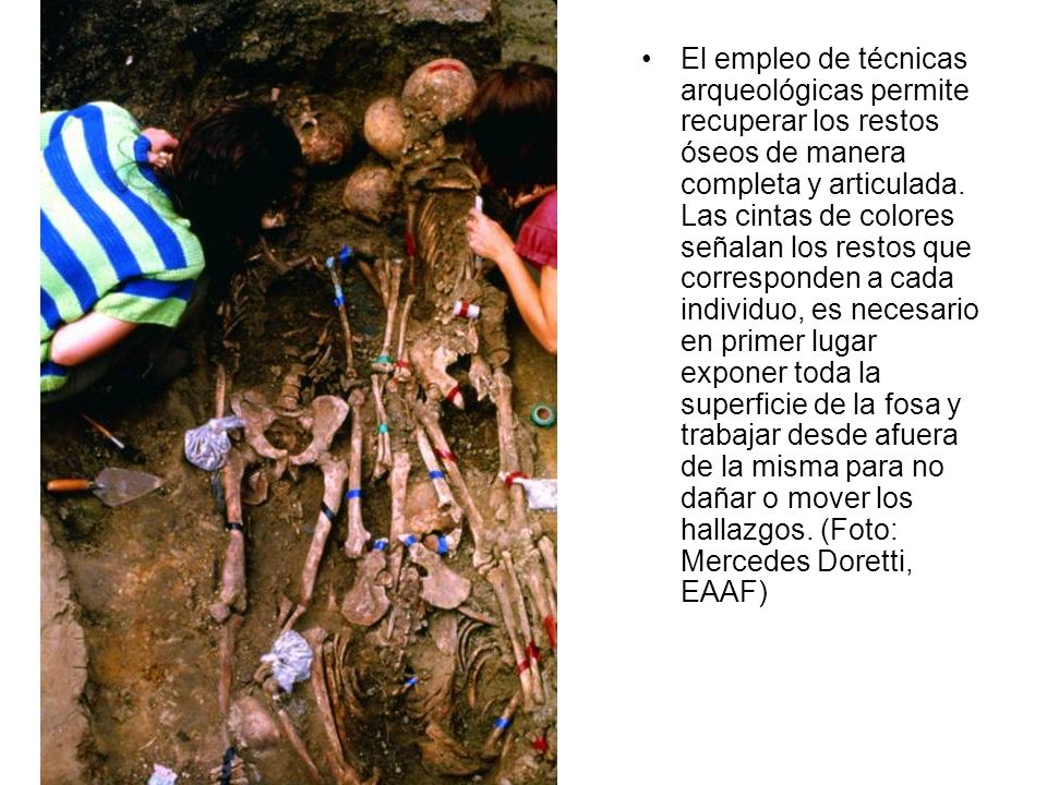 El empleo de técnicas arqueológicas permite recuperar los restos óseos de manera completa y articulada.