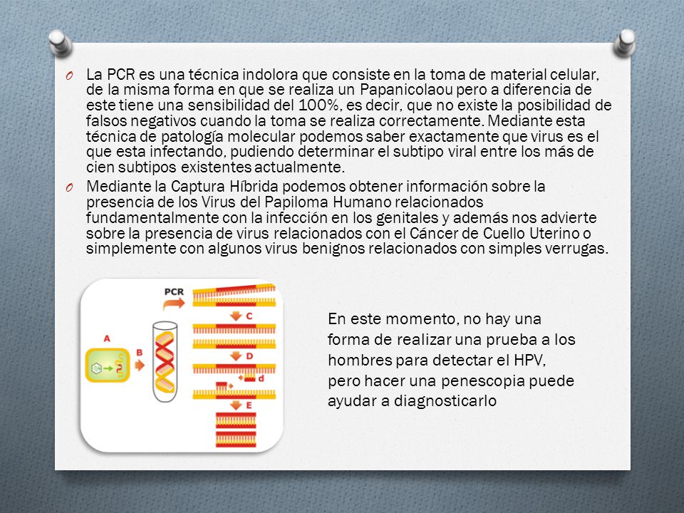 La PCR es una técnica indolora que consiste en la toma de material celular, de la misma forma en que se realiza un Papanicolaou pero a diferencia de este tiene una sensibilidad del 100%, es decir, que no existe la posibilidad de falsos negativos cuando la toma se realiza correctamente. Mediante esta técnica de patología molecular podemos saber exactamente que virus es el que esta infectando, pudiendo determinar el subtipo viral entre los más de cien subtipos existentes actualmente.