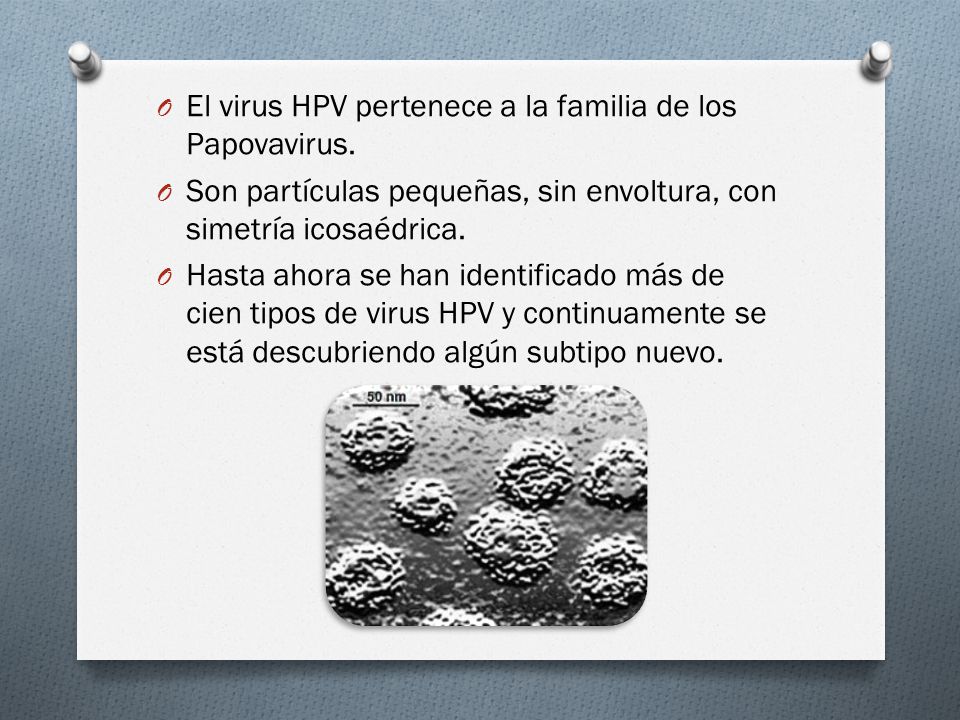 El virus HPV pertenece a la familia de los Papovavirus.