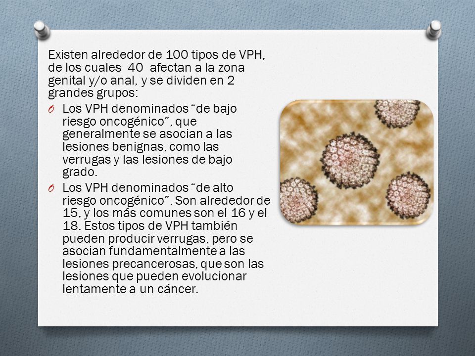 Existen alrededor de 100 tipos de VPH, de los cuales 40 afectan a la zona genital y/o anal, y se dividen en 2 grandes grupos:
