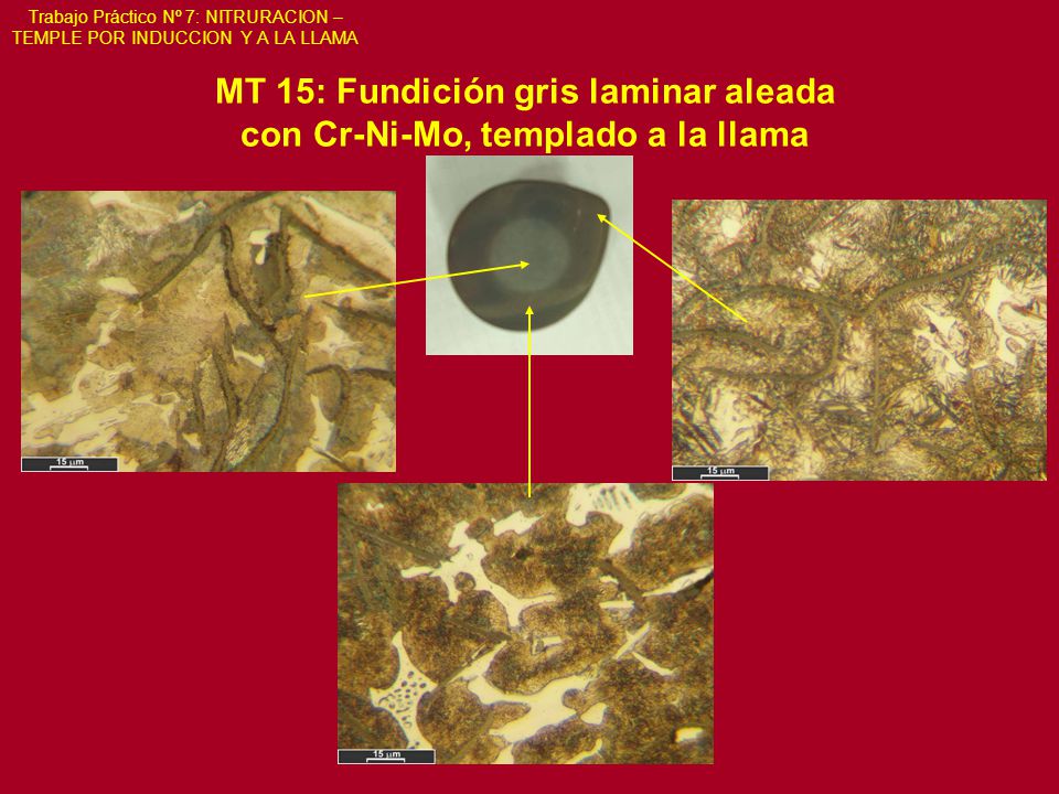 Trabajo Práctico Nº 7: NITRURACION – TEMPLE POR INDUCCION Y A LA LLAMA