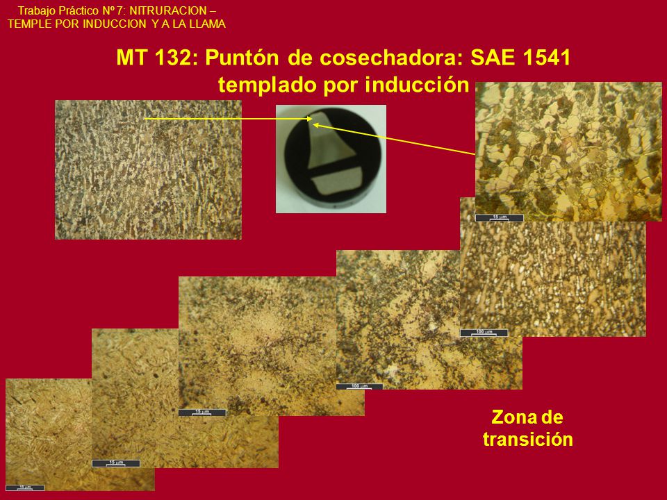 Trabajo Práctico Nº 7: NITRURACION – TEMPLE POR INDUCCION Y A LA LLAMA