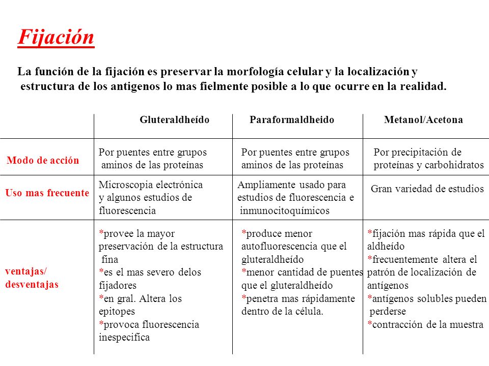 Fijación La función de la fijación es preservar la morfología celular y la localización y.