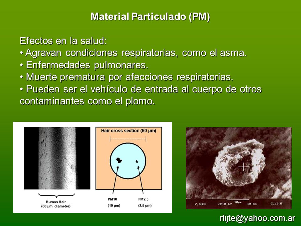 Material Particulado (PM)