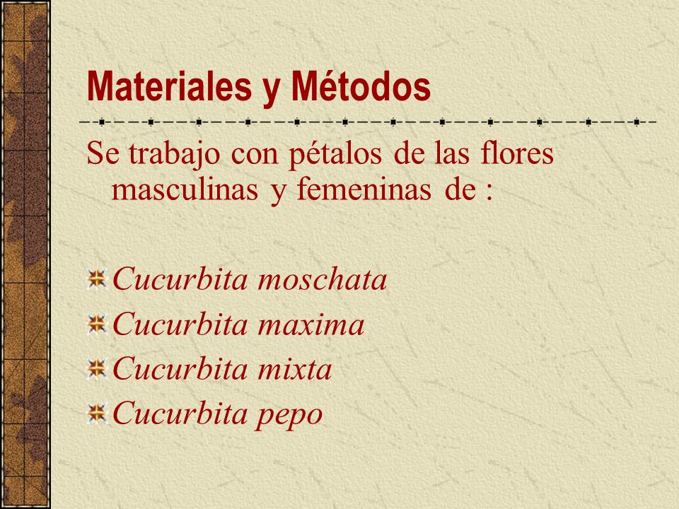 Materiales y Métodos Se trabajo con pétalos de las flores masculinas y femeninas de : Cucurbita moschata.